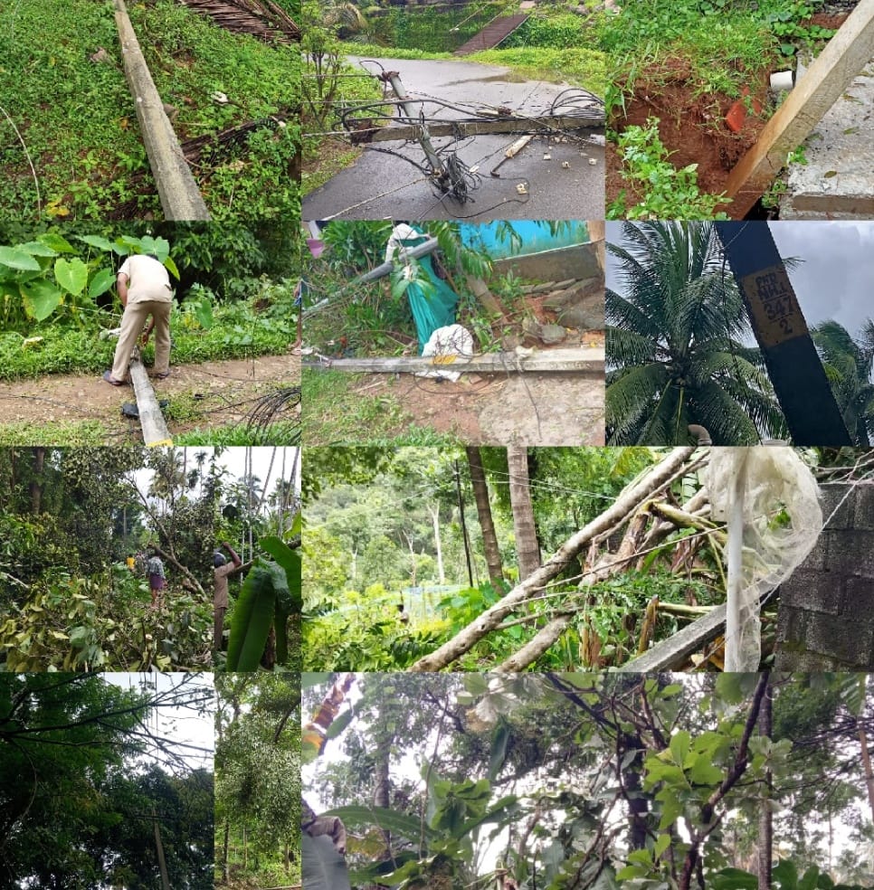 പട്ടിക്കാട് KSEB സെക്ഷൻ പരിധിയിൽ ഇന്ന് 25 ഇലക്ട്രിക്ക് പോസ്റ്റ് തകർന്നു