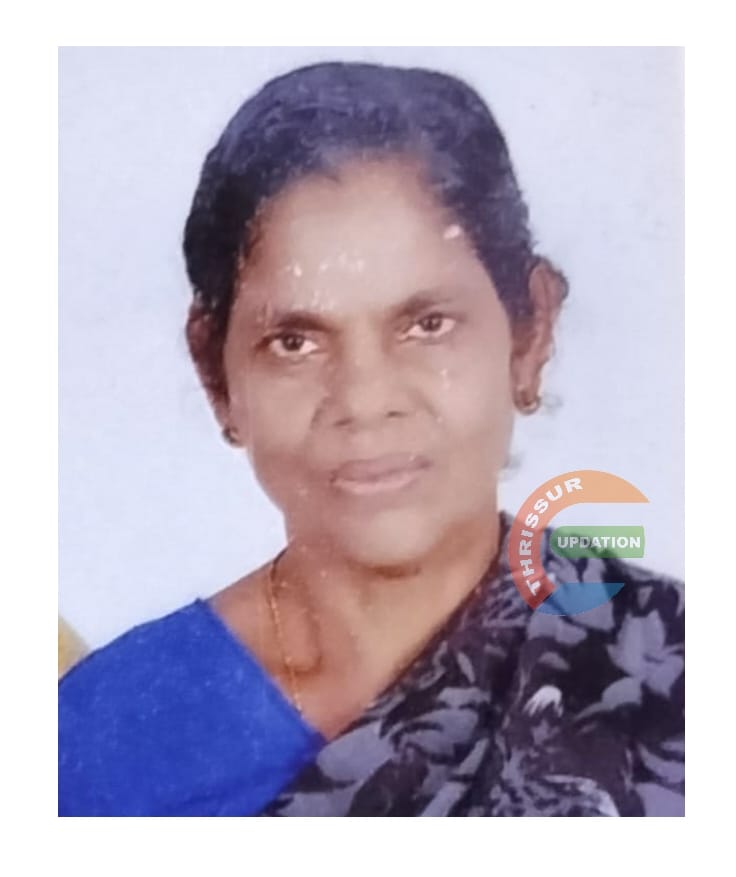 വിലങ്ങന്നൂർ കാരക്കാട്ടുപ്പറമ്പിൽ അച്ചാമ്മ അന്തരിച്ചു