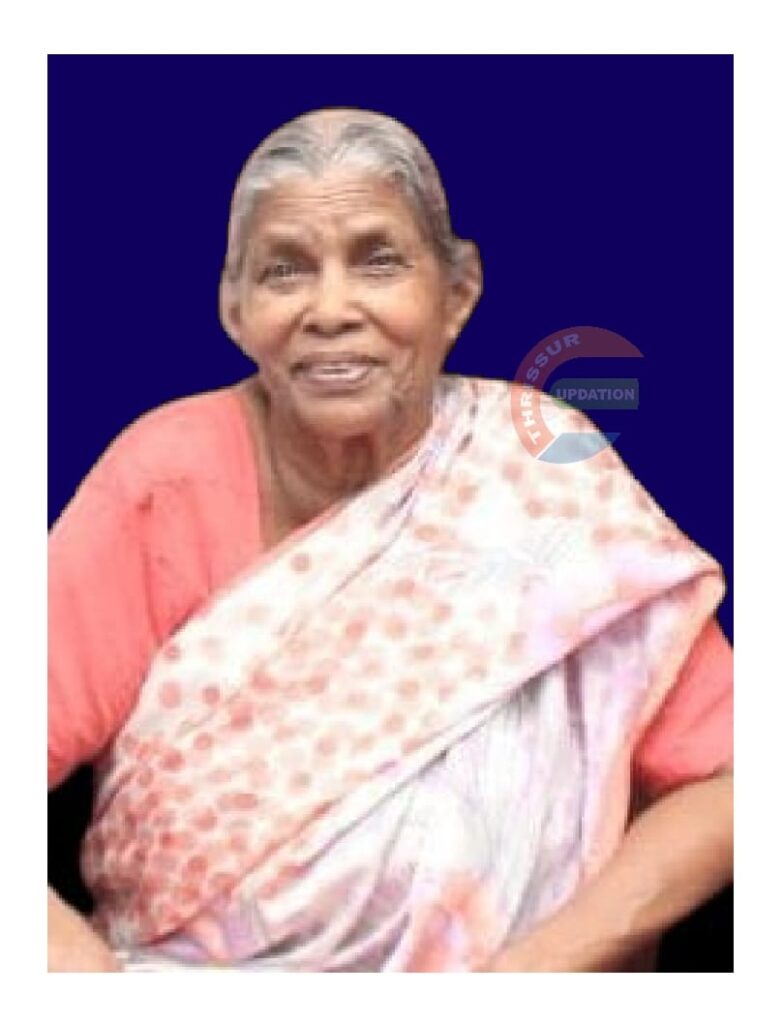 വാഴപ്പിള്ളി കുരിയാക്കോസ് ഭാര്യ അന്നമ്മ അന്തരിച്ചു