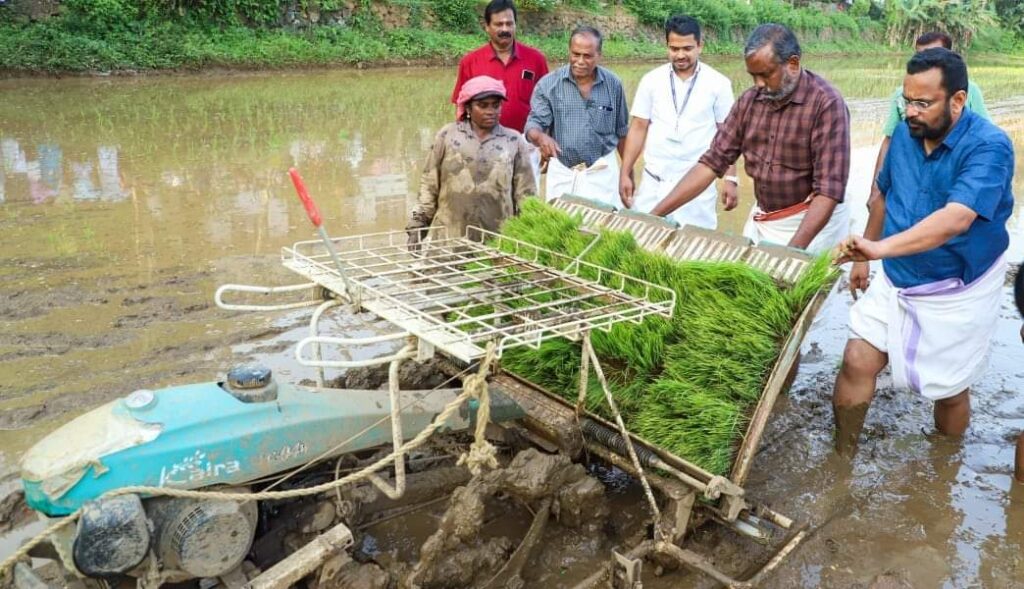 പാടത്തിറങ്ങി ഞാറുനട്ട് മന്ത്രിമാർ; ആവേശത്തോടെ കർഷകരും