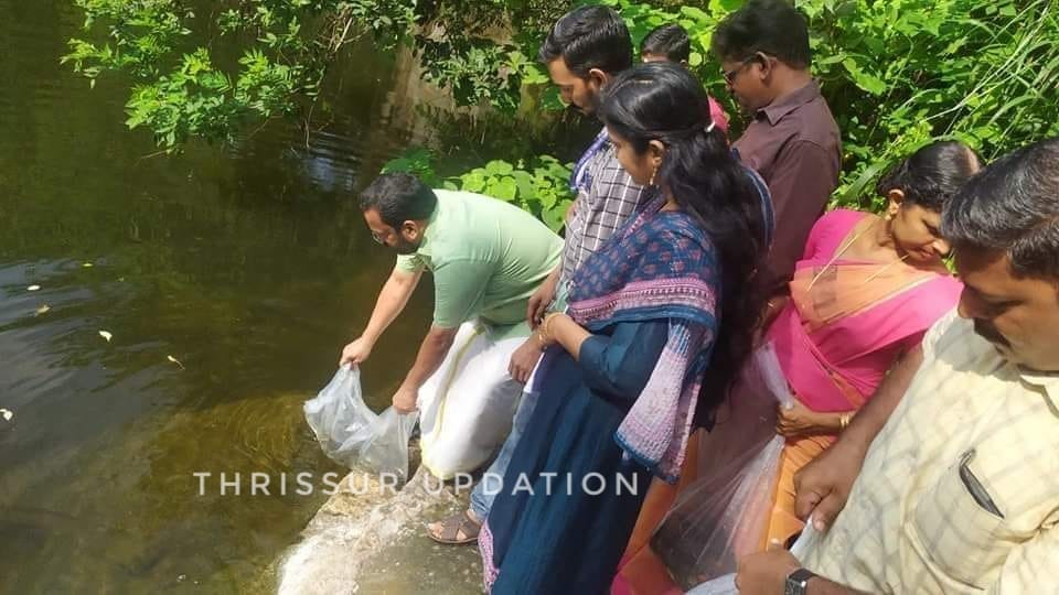 നടത്തറ പഞ്ചായത്ത് പൊതുകുളങ്ങളിൽ മത്സ്യ കുഞ്ഞുങ്ങളെ നിക്ഷേപിച്ചു