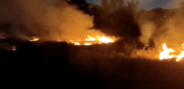 പുഴയ്ക്കൽപ്പാടത്ത് തീപിടിച്ചു