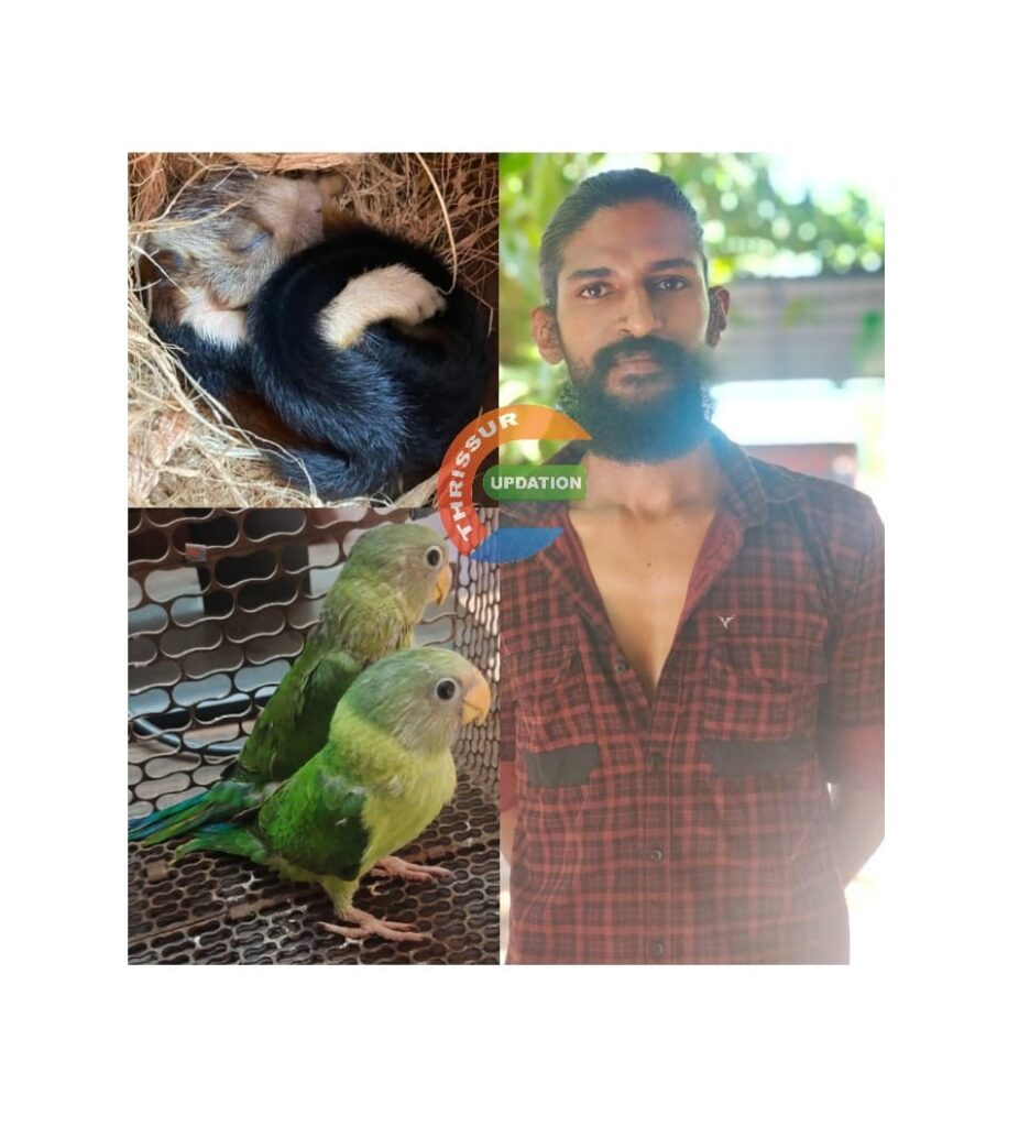 മലയണ്ണാനെയും തത്തകളെയും കൂട്ടിലിട്ടു വളർത്തിയതിന് കേസെടുത്തു