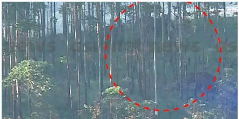 അരിക്കൊമ്പനെ പിടിക്കൂടാനുള്ള ദൗത്യം തുടങ്ങി