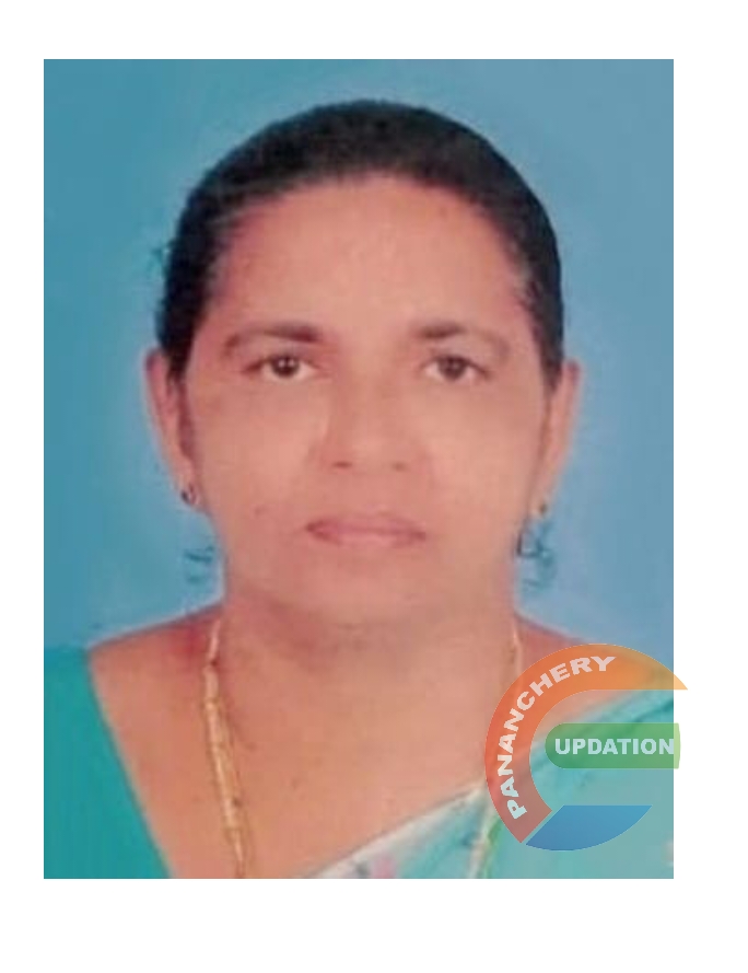 പട്ടിക്കാട് കല്ലിടുക്ക് വടക്കൻതുരുത്തേൽ മേരി (71) അന്തരിച്ചു