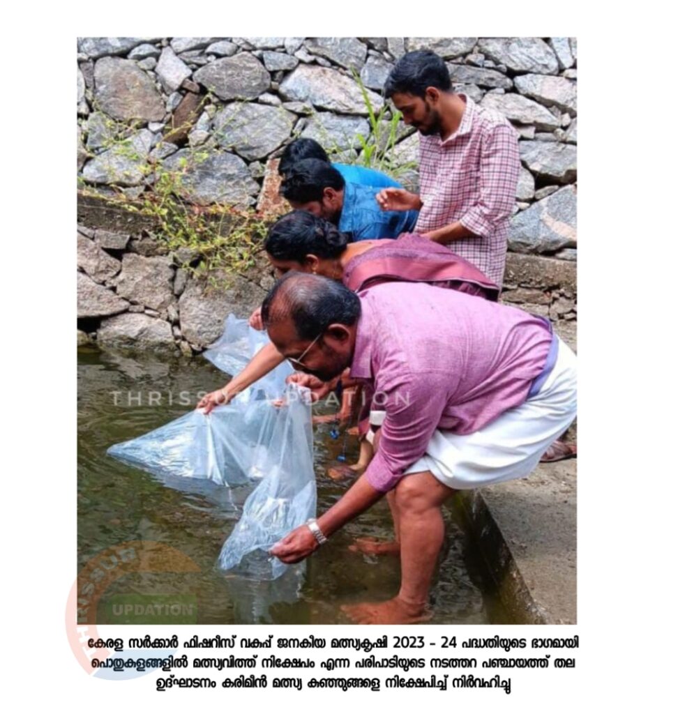 കേരള സർക്കാർ ഫിഷറീസ് വകുപ്പ് ജനകീയ മത്സ്യകൃഷി 2023 – 24 പദ്ധതിയുടെ ഭാഗമായി പൊതുകുളങ്ങളിൽ മത്സ്യവിത്ത് നിക്ഷേപം എന്ന പരിപാടിയുടെ നടത്തറ പഞ്ചായത്ത് തല ഉദ്ഘാടനം കരിമീൻ മത്സ്യ കുഞ്ഞുങ്ങളെ നിക്ഷേപിച്ച് നിർവഹിച്ചു