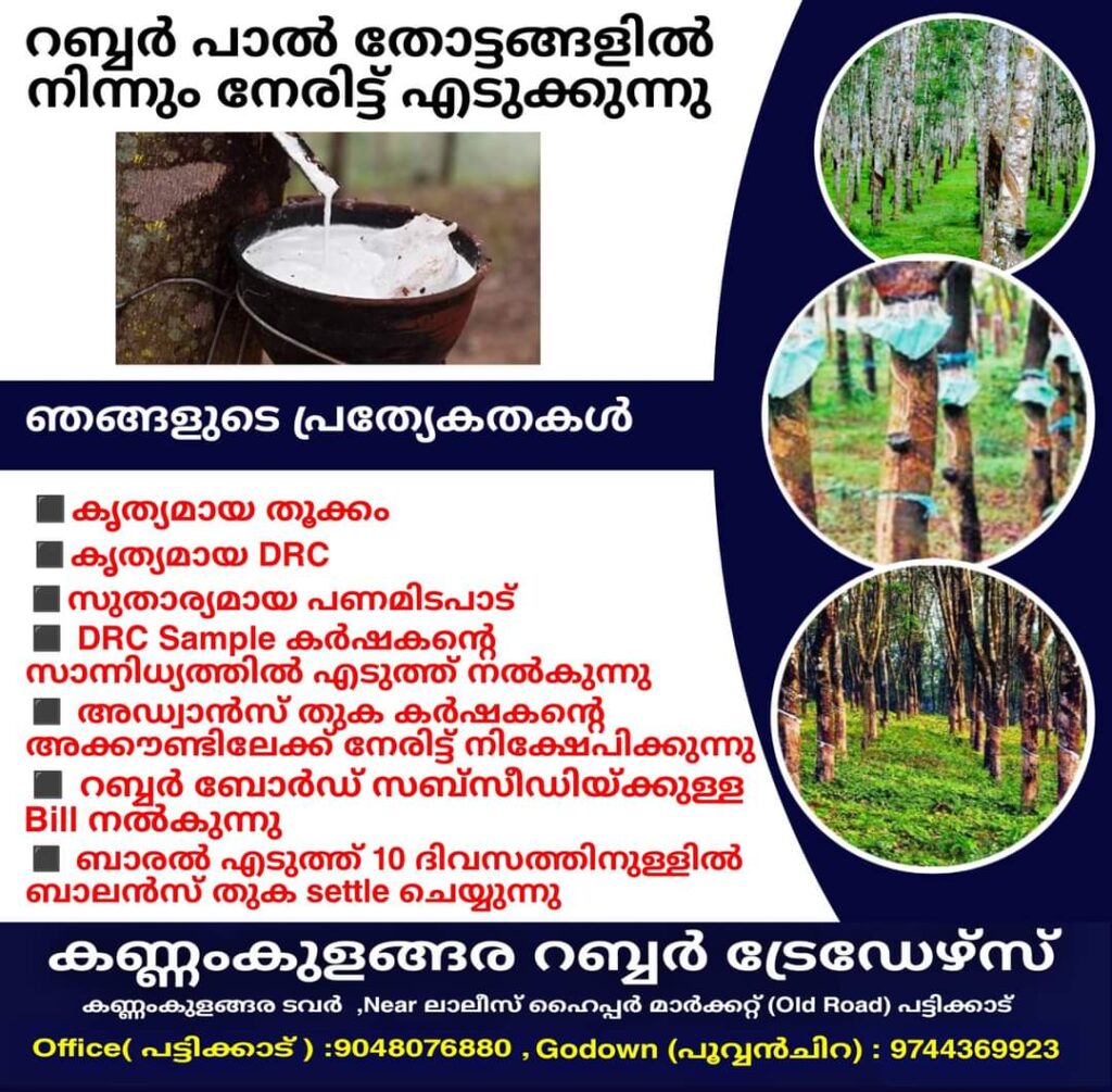 റബ്ബർ പാൽ തോട്ടങ്ങളിൽ നിന്നും നേരിട്ട് എടുക്കുന്നു