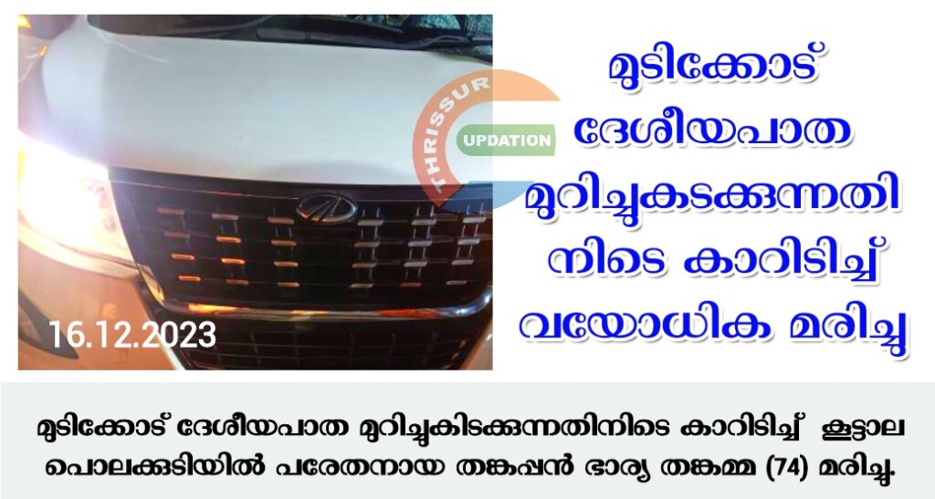ദേശീയപാതയിൽ മുടിക്കോട് റോഡ് മുറിച്ച് കടക്കുന്നതിനിടെ കാറിടിച്ച് വയോധിക മരിച്ചു