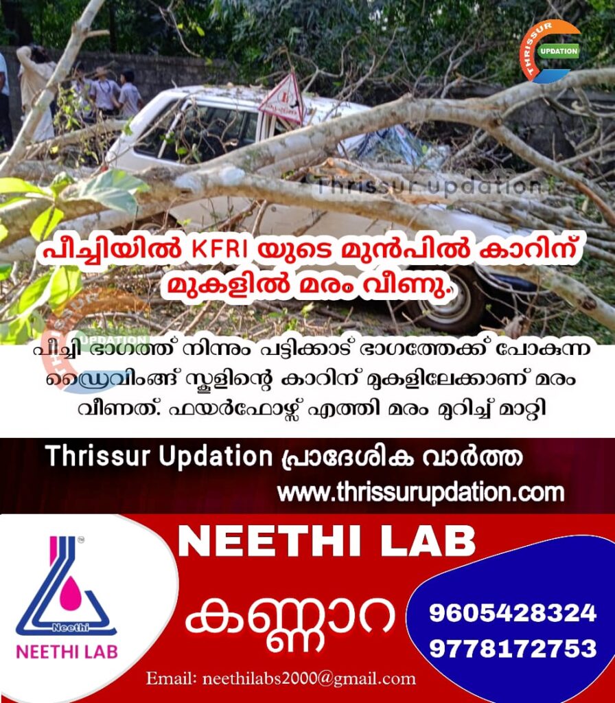 പീച്ചി KFRI യുടെ മുൻപിൽ കാറിന് മുകളിൽ മരം വീണു.