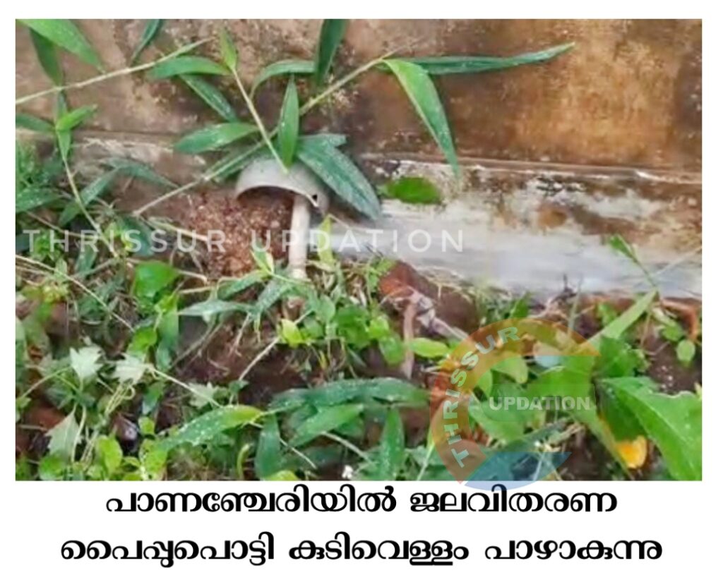 പാണഞ്ചേരിയിൽ ജലവിതരണ പൈപ്പുപൊട്ടി കുടിവെള്ളം പാഴാകുന്നു