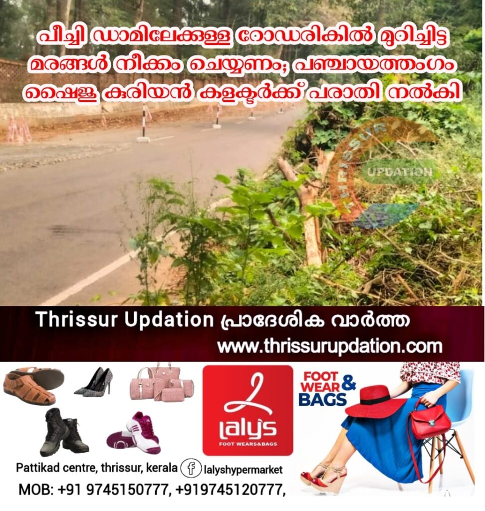 പീച്ചി ഡാമിലേക്കുള്ള റോഡരികിൽ മുറിച്ചിട്ട മരങ്ങൾ നീക്കം ചെയ്യണം; പഞ്ചായത്തംഗം ഷൈജു കുരിയൻ കളക്ടർക്ക് പരാതി നൽകി