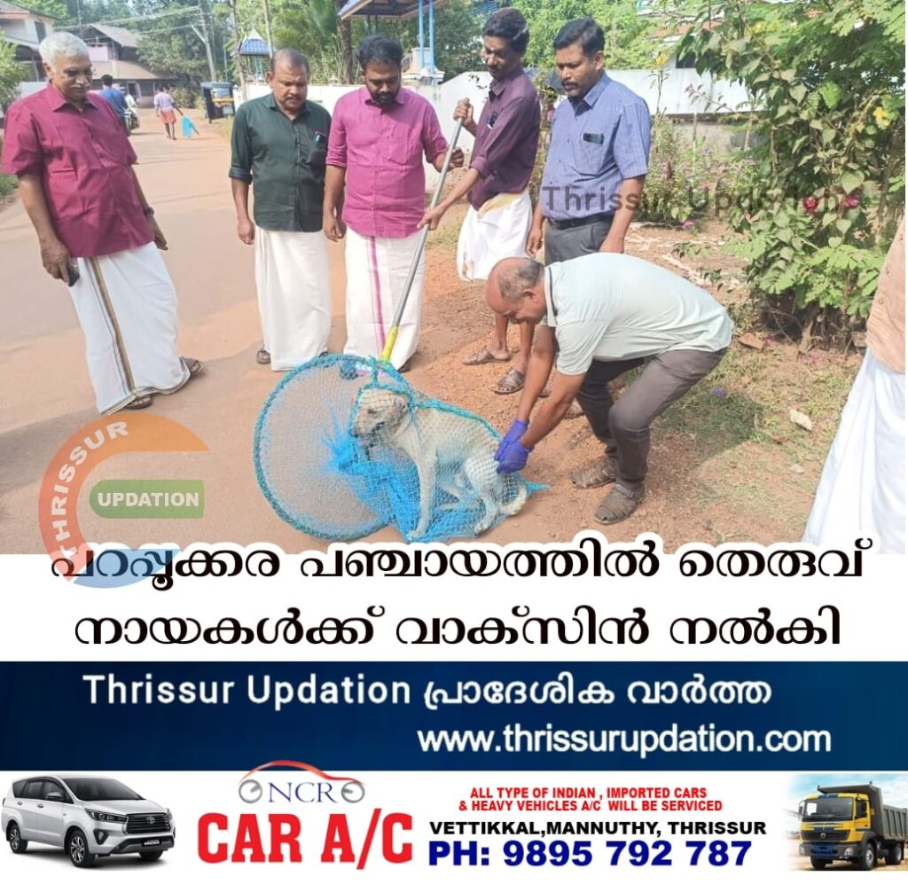 പറപ്പൂക്കര പഞ്ചായത്തില്‍ തെരുവ് നായകള്‍ക്ക് വാക്‌സിന്‍ നല്‍കി