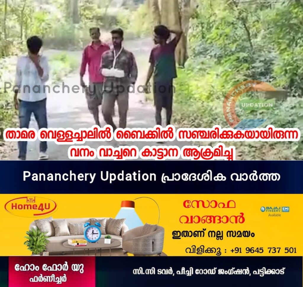 താമര വെള്ളച്ചാലിൽ ബൈക്കിൽ സഞ്ചരിക്കുകയായിരുന്ന വനം വാച്ചറെ കാട്ടാന ആക്രമിച്ചു