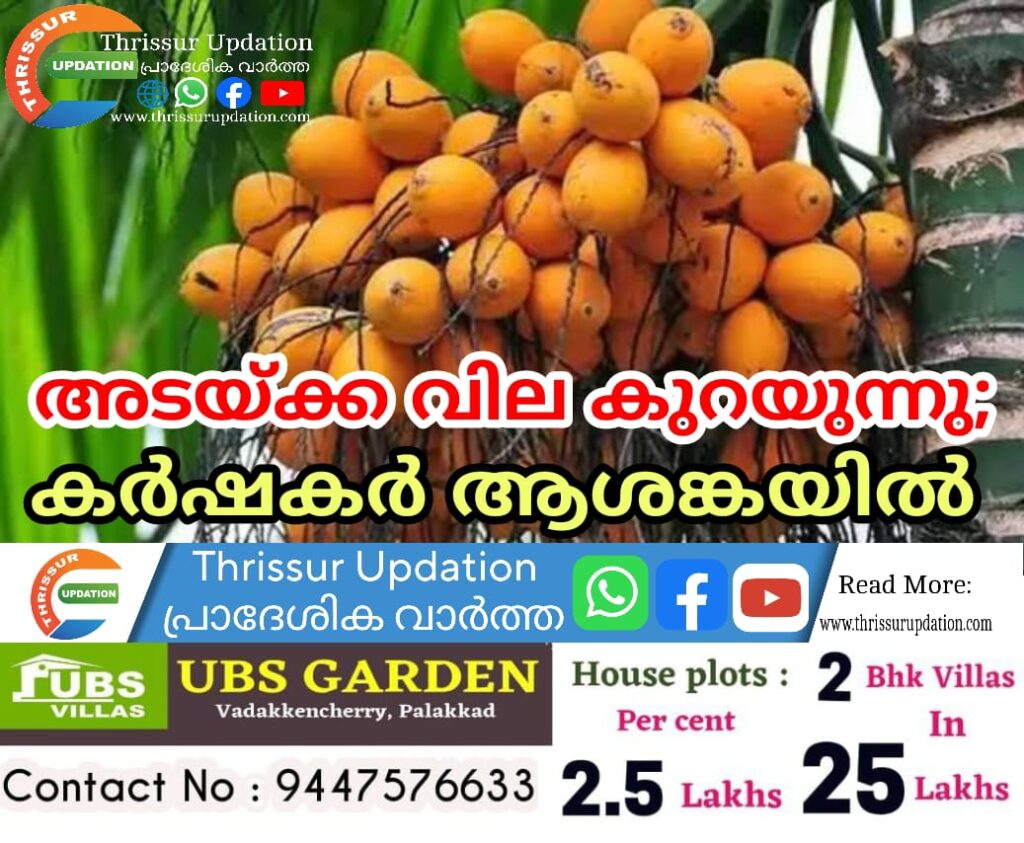 അടയ്ക്ക വില കുറയുന്നു;  കർഷകർ ആശങ്കയിൽ