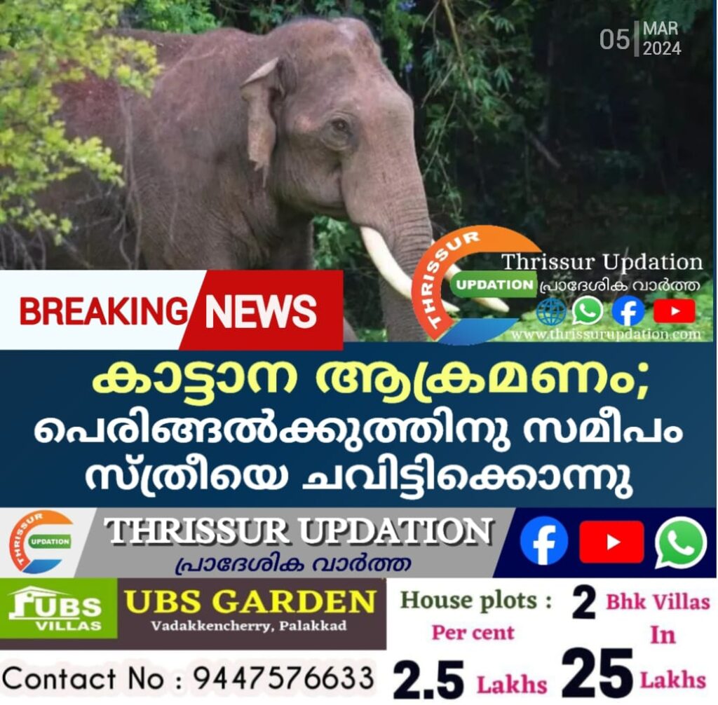 കാട്ടാന ആക്രമണം; പെരിങ്ങൽക്കുത്തിനു സമീപം സ്ത്രീയെ ചവിട്ടിക്കൊന്നു
