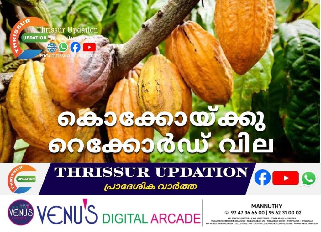 കൊക്കോയ്ക്കു റെക്കോർഡ് വില