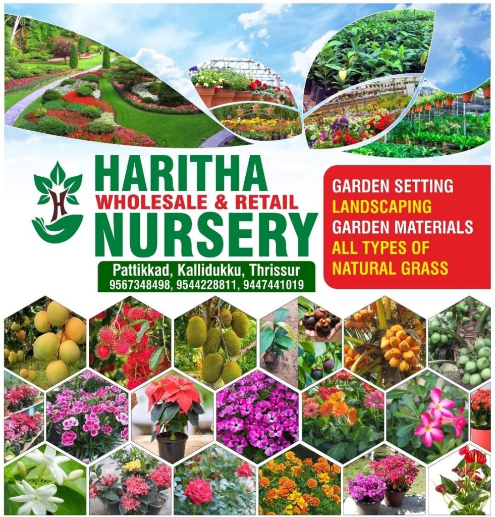 HARITHA WHOLESALE & RETAIL NURSERY