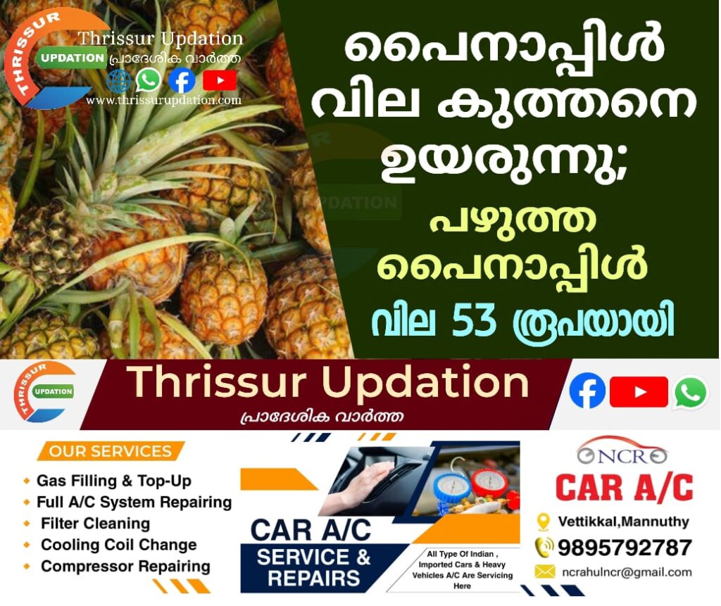 പൈനാപ്പിൾ വില കുത്തനെ ഉയരുന്നു; പഴുത്ത പൈനാപ്പിൾ വില 53 രൂപയായി