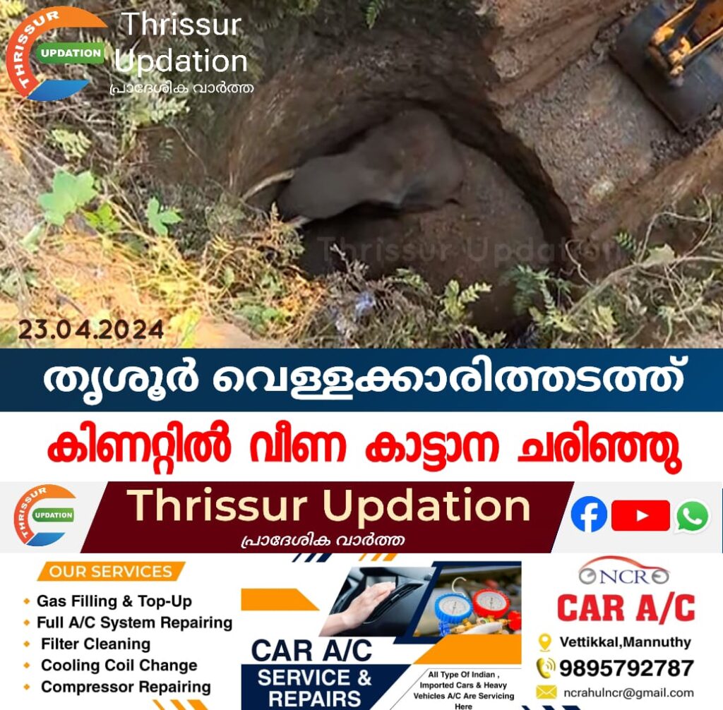 തൃശൂർ വെള്ളക്കാരിത്തടത്ത് കിണറ്റിൽ വീണ കാട്ടാന ചരിഞ്ഞു
