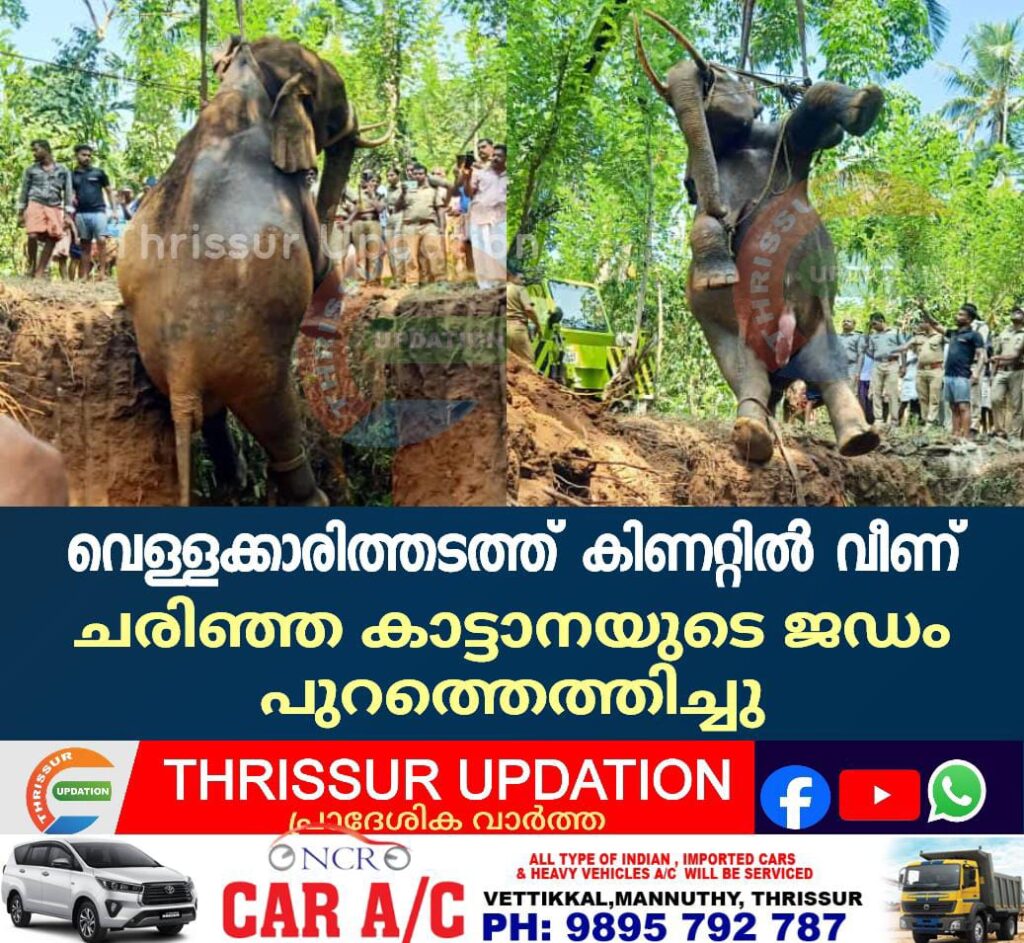 വെള്ളക്കാരിത്തടത്ത് കിണറ്റിൽ വീണ് ചരിഞ്ഞ കാട്ടാനയുടെ ജഡം പുറത്തെത്തിച്ചു