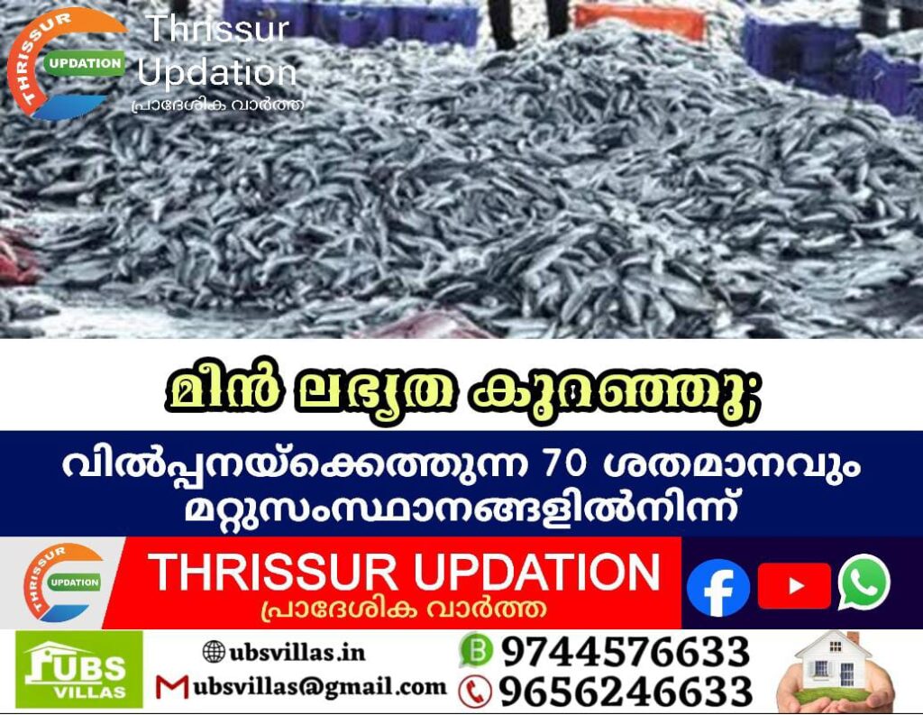 മീൻ ലഭ്യത കുറഞ്ഞു; വിൽപ്പനയ്ക്കെത്തുന്ന 70 ശതമാനവും മറ്റുസംസ്ഥാനങ്ങളിൽനിന്ന്