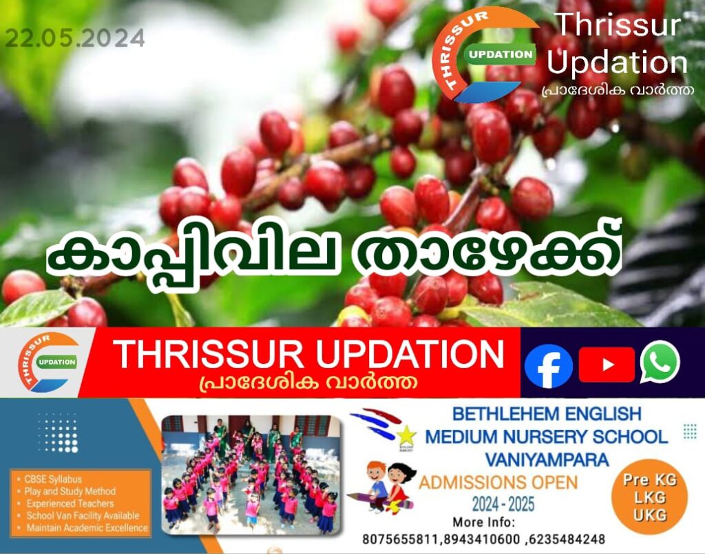 കർഷകർക്ക് തിരിച്ചടി; കൊക്കോയ്ക്ക് പിന്നാലെ കാപ്പിവിലയും താഴേക്ക്