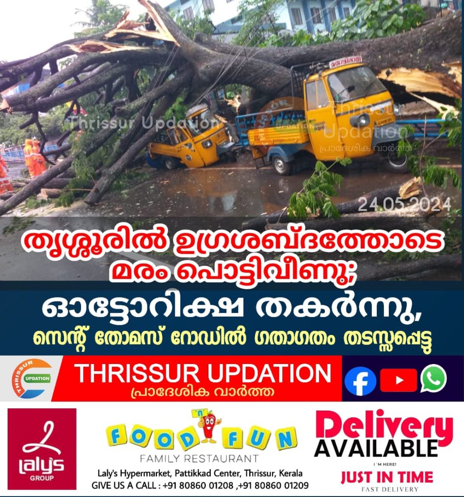 തൃശ്ശൂരിൽ ഉഗ്രശബ്ദത്തോടെ മരം പൊട്ടിവീണു;&nbsp; ഓട്ടോറിക്ഷ തകർന്നു , സെൻ്റ് തോമസ് റോഡിൽ ഗതാഗതം തടസ്സപ്പെട്ടു