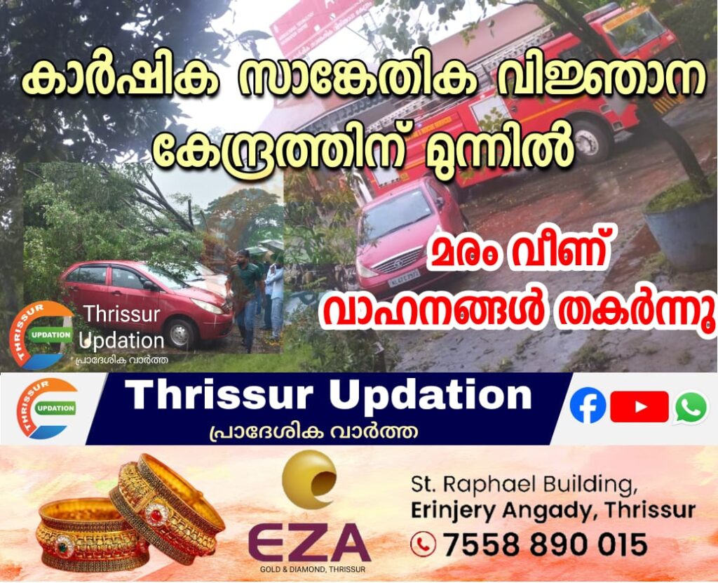 മണ്ണുത്തി കാർഷിക സാങ്കേതിക വിജ്ഞാന കേന്ദ്രത്തിന് മുന്നിൽ മരം വീണ് വാഹനങ്ങൾ തകർന്നു