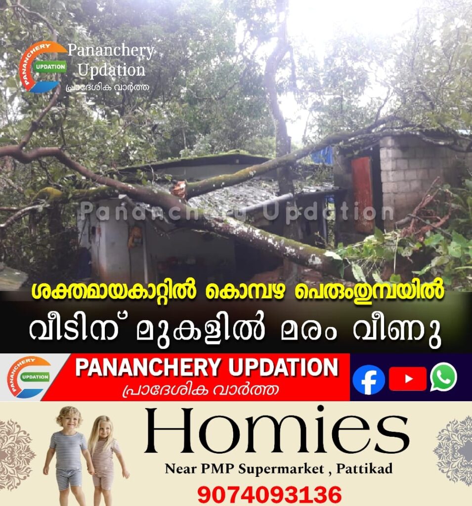 കൊമ്പഴ പെരുംതുമ്പയിൽ വീടിന് മുകളിൽ മരം വീണു
