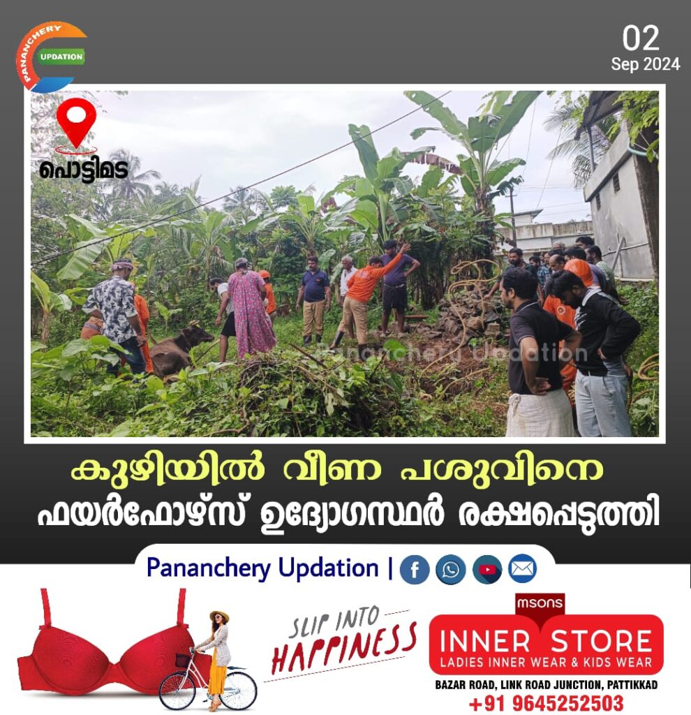 കുഴിയിൽ വീണ പശുവിനെ ഫയർഫോഴ്സ് ഉദ്യോഗസ്ഥർ രക്ഷപ്പെടുത്തി