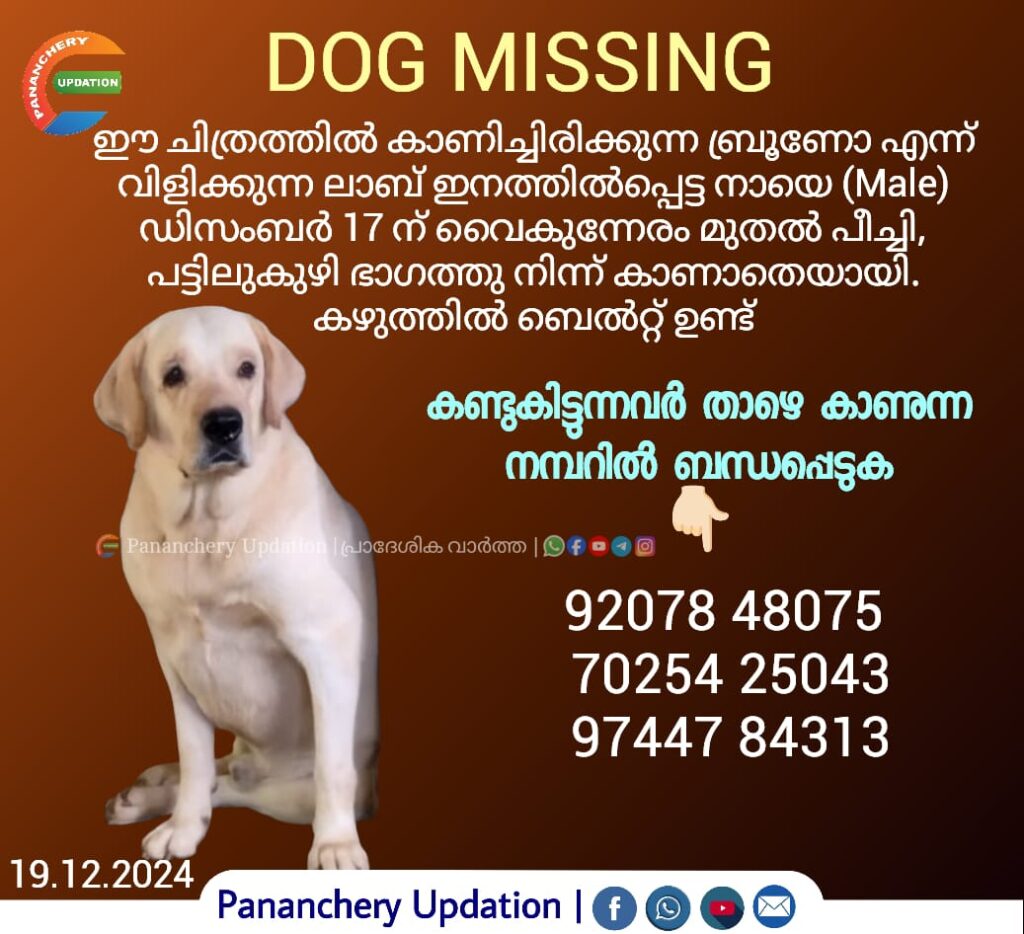 🐕🐕DOG MISSING