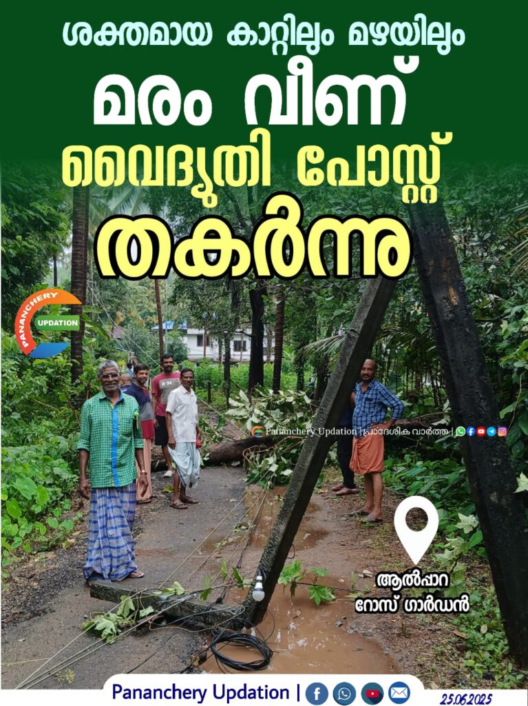 ആൽപ്പാറ റോസ് ഗാർഡനിൽ ശക്തമായ കാറ്റിലും മഴയിലും മരം വീണ് വൈദ്യുതി പോസ്റ്റ് തകർന്നു
