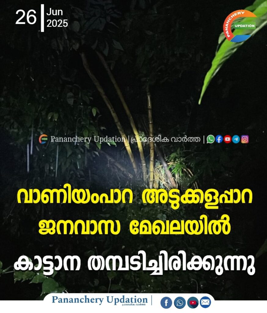 വാണിയംപാറ അടുക്കളപ്പാറ ഭാഗത്ത് കാട്ടാന തമ്പടിച്ചിരിക്കുന്നു