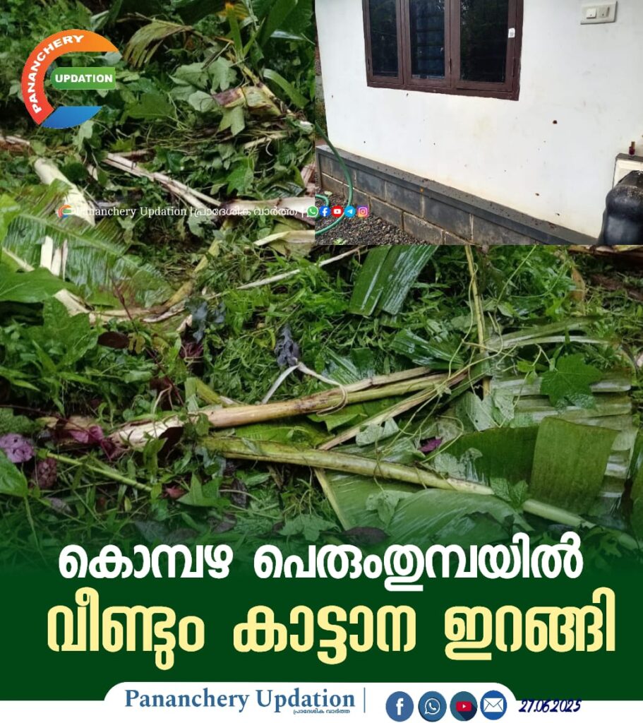 കൊമ്പഴ പെരുംതുമ്പയിൽ വീണ്ടും കാട്ടാന ഇറങ്ങി