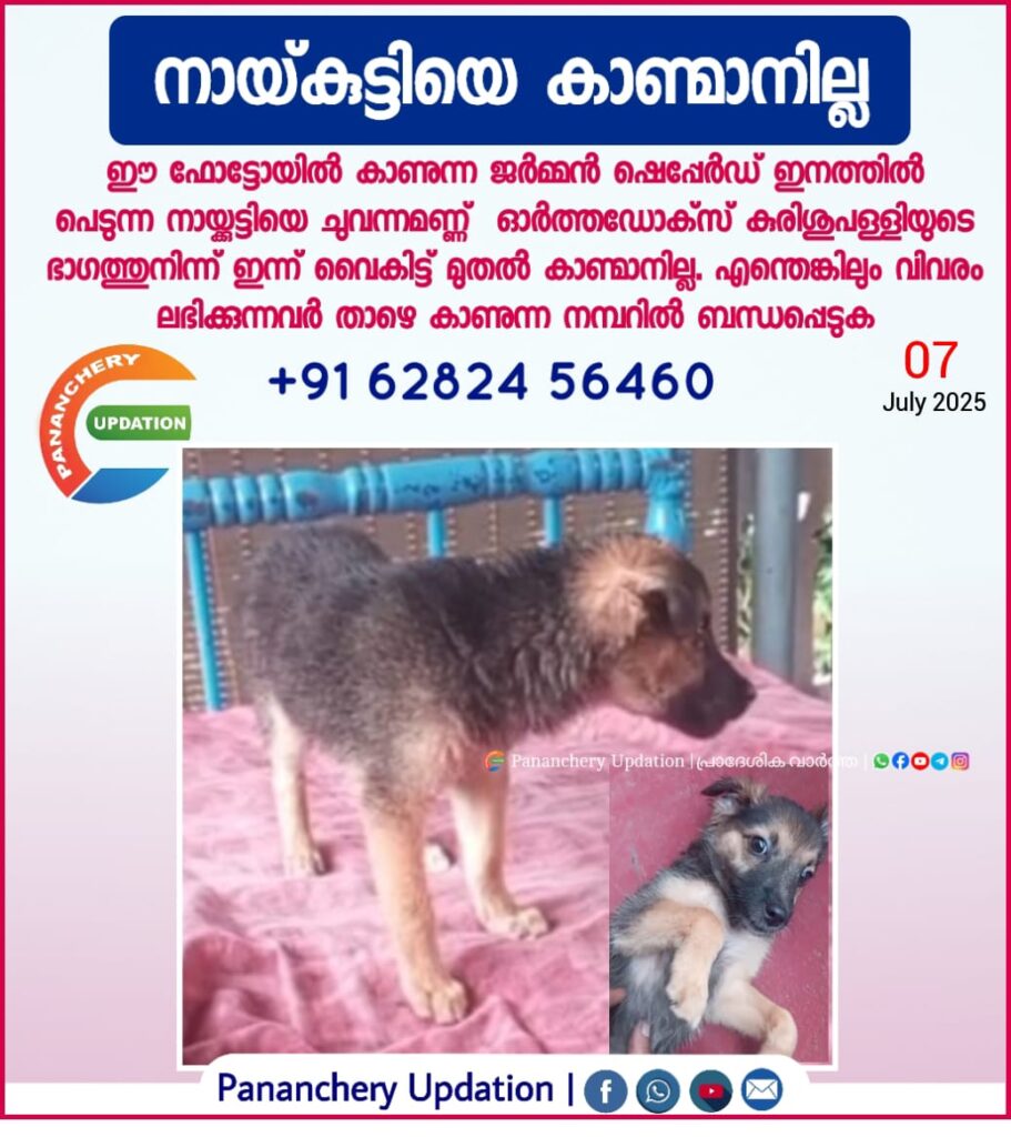 നായ്കുട്ടിയെ കാണ്മാനില്ല