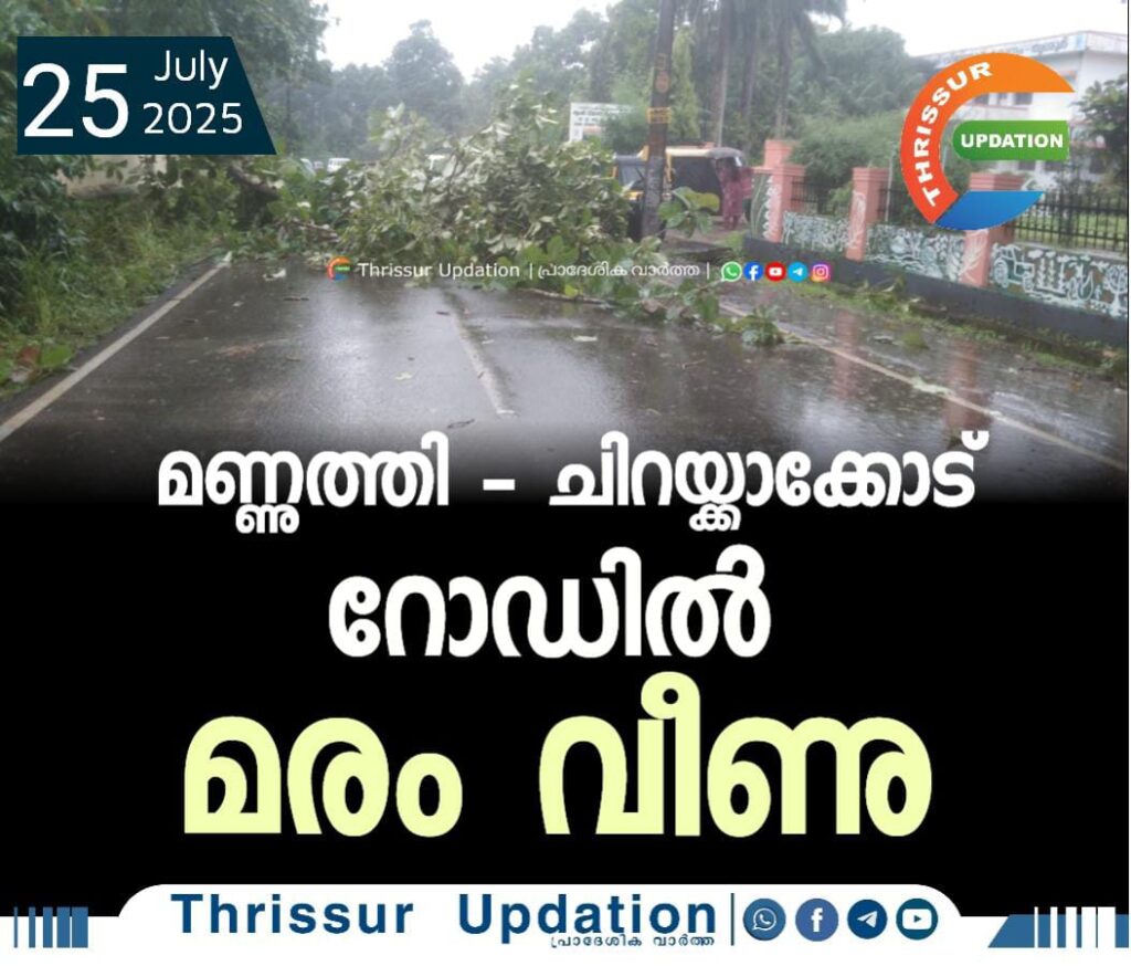 മണ്ണുത്തി ചിറയ്ക്കാക്കോട് റോഡിൽ മരം വീണു