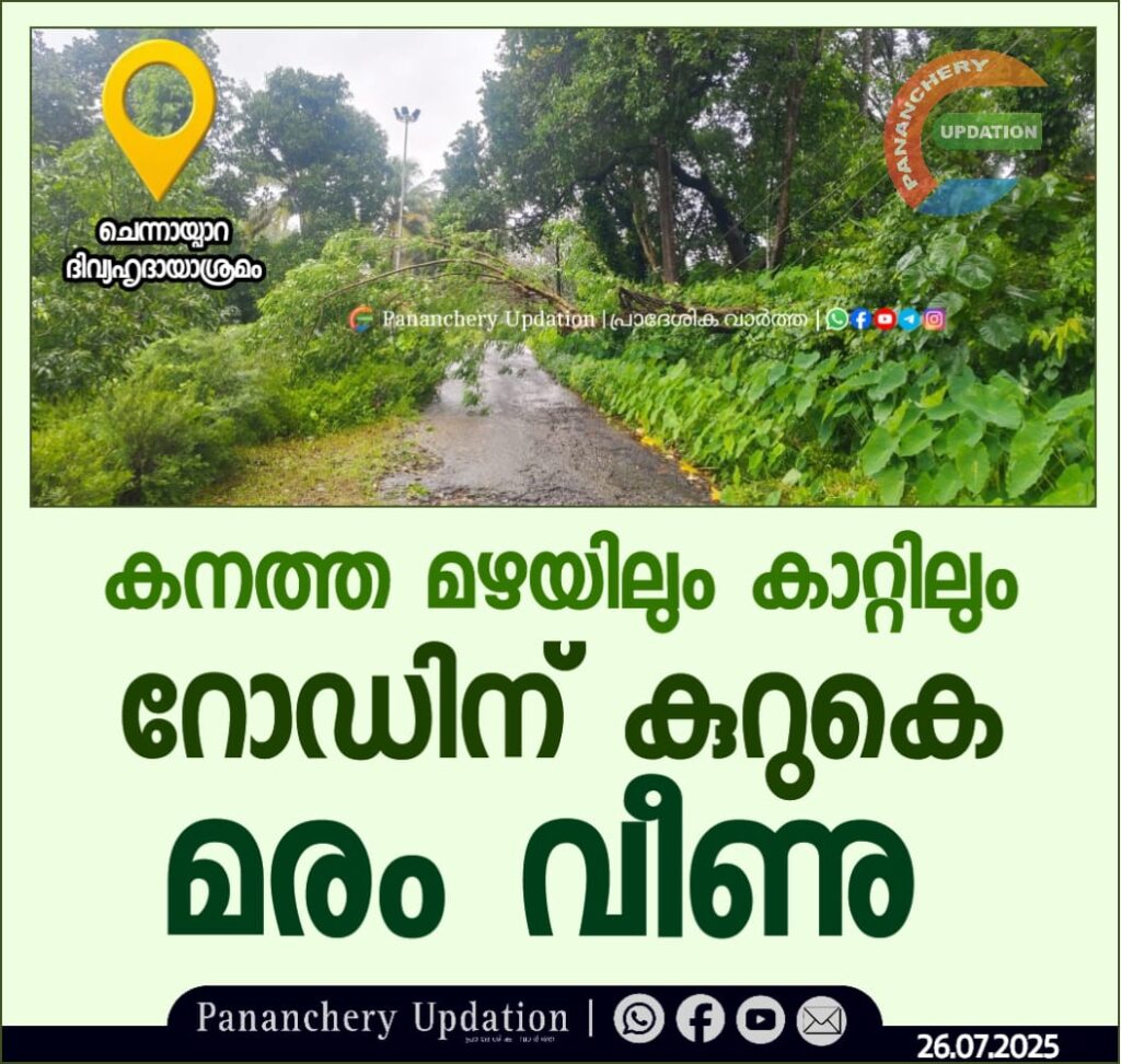 ചെന്നായ്പാറയിൽ ദിവ്യഹൃദായാശ്രമത്തിന് സമീപം കനത്ത മഴയിലും കാറ്റിലും റോഡിന് കുറുകെ മരം വീണു