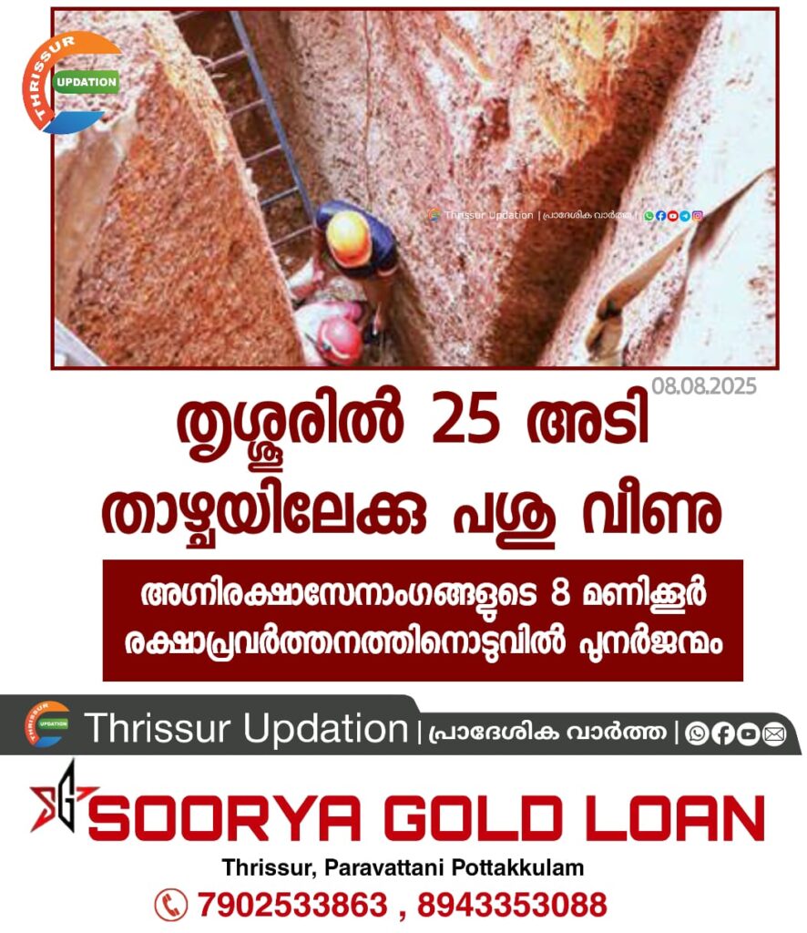 തൃശ്ശൂരിൽ 25 അടി താഴ്ചയിലേക്കു പശു വീണു; അഗ്നിരക്ഷാസേനാംഗങ്ങളുടെ 8 മണിക്കൂർ രക്ഷാപ്രവർത്തനത്തിനൊടുവിൽ പുനർജന്മം