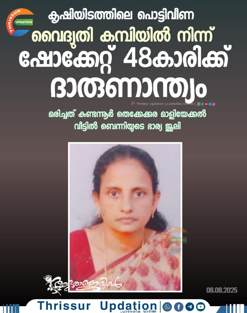കൃഷിയിടത്തിലെ പൊട്ടിവീണ വൈദ്യുതി കമ്പിയില്‍ നിന്ന് ഷോക്കേറ്റ് 48കാരിക്ക് ദാരുണാന്ത്യം